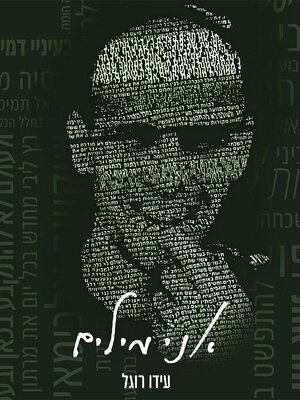 cover image of אני מילים